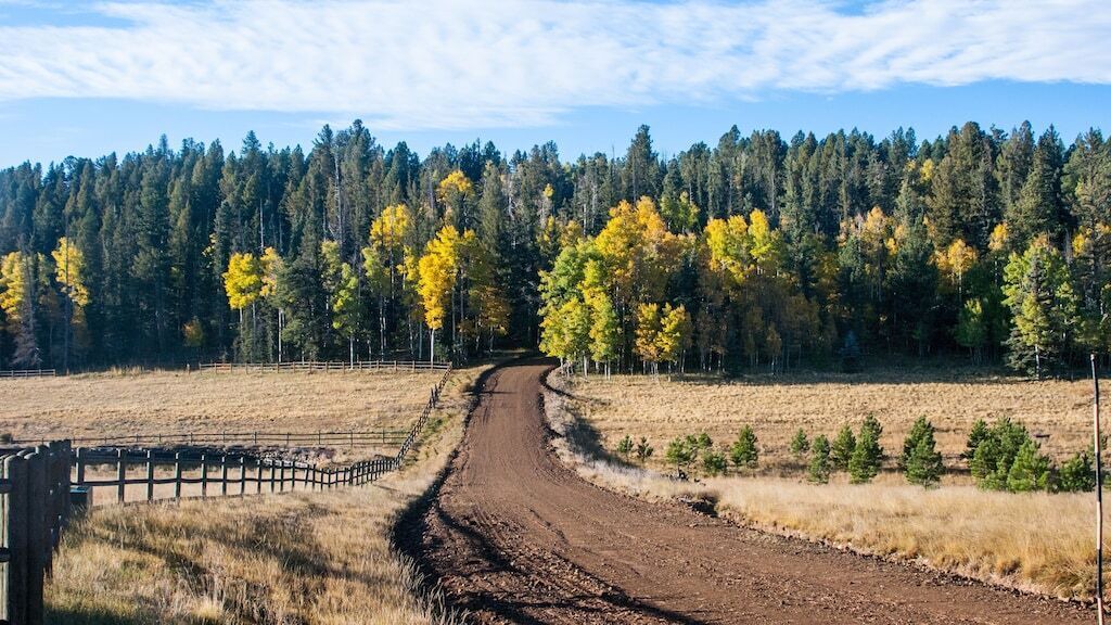 Photo of Outdoor in Angel Fire