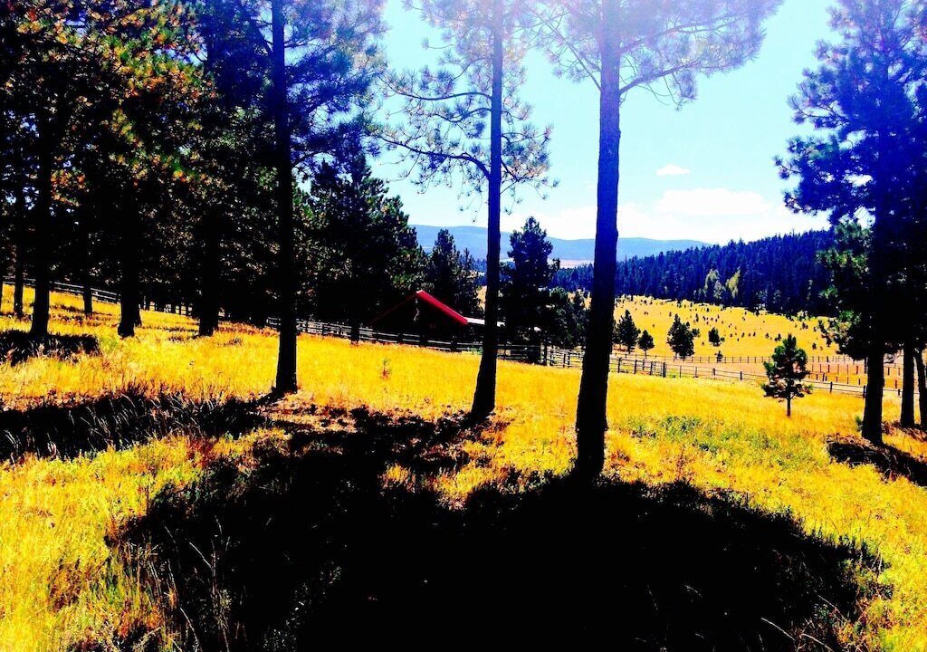 Photo of Others in Angel Fire