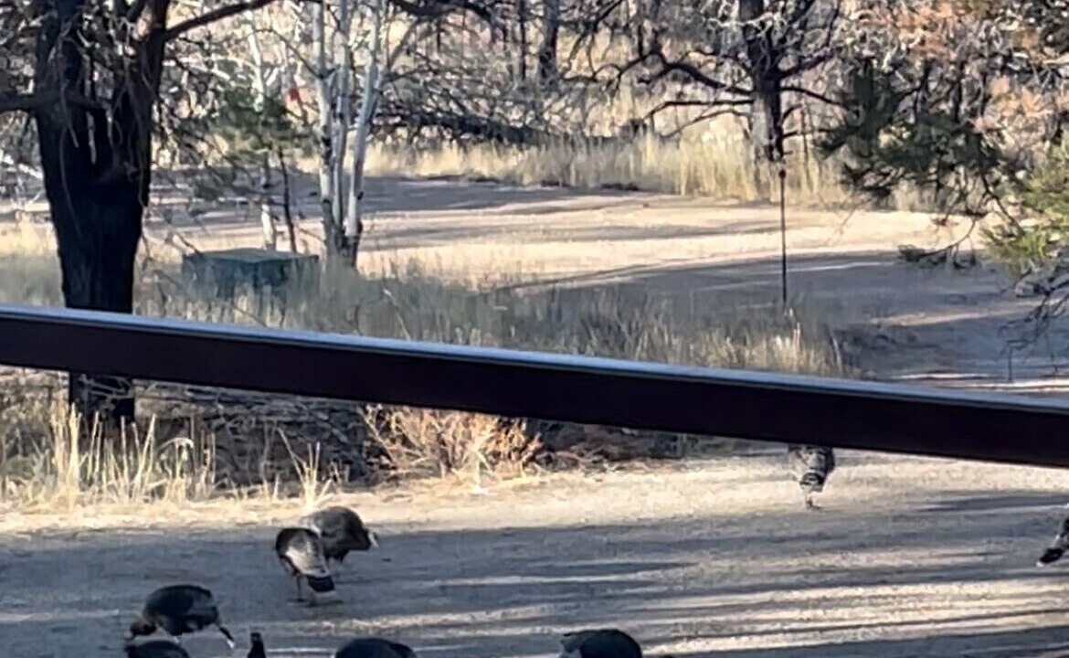 Photo of Others in Fort Garland