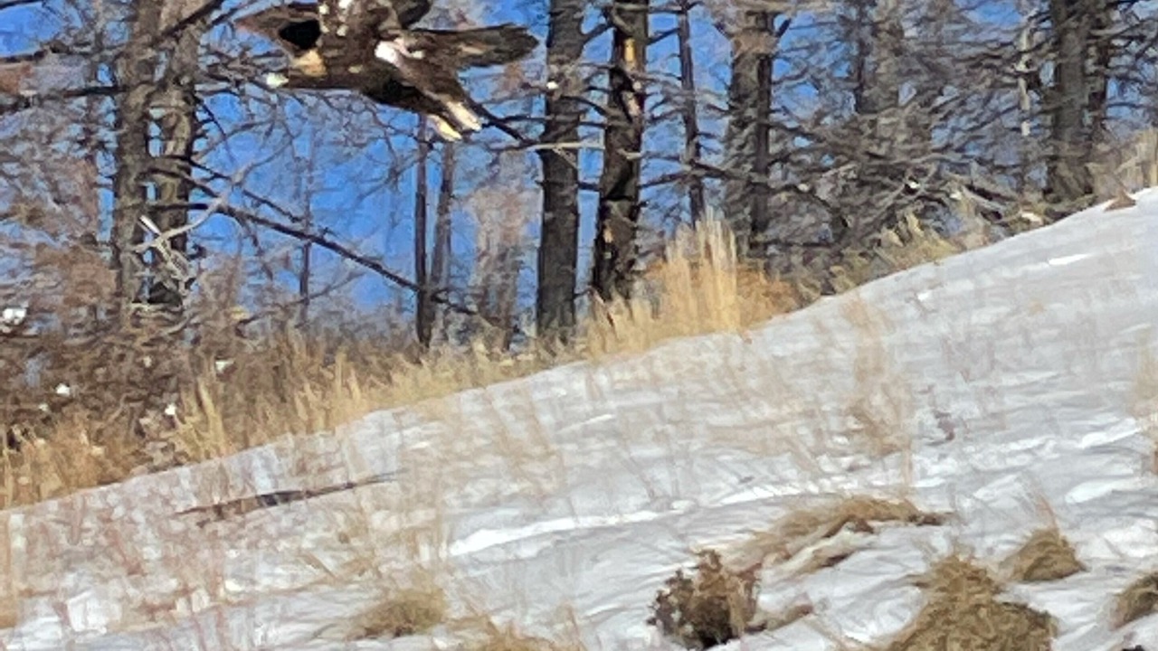 Photo of Outdoor in Fort Garland