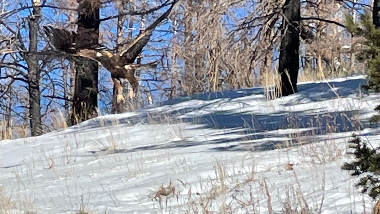 Photo of Outdoor in Fort Garland