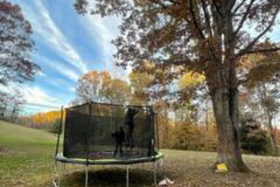 Photo of Others in Mount Hope