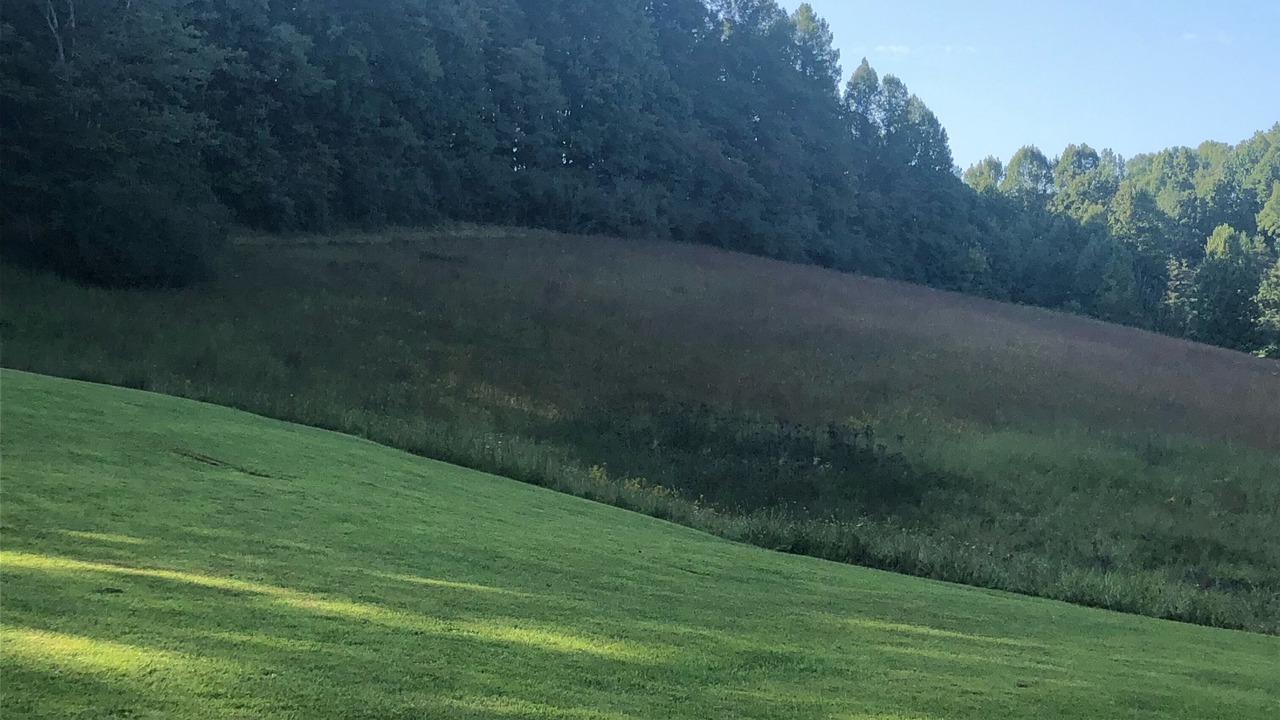 Photo of Others in Mount Hope