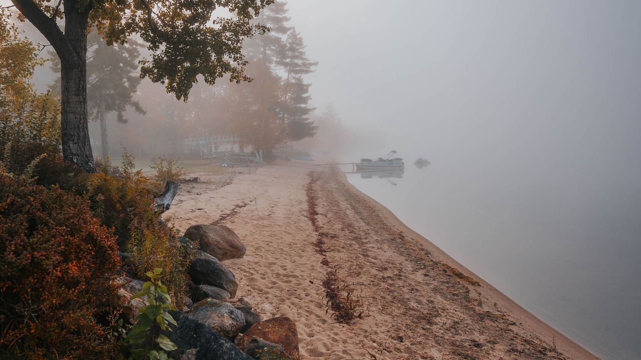 Photo of Others in Speculator