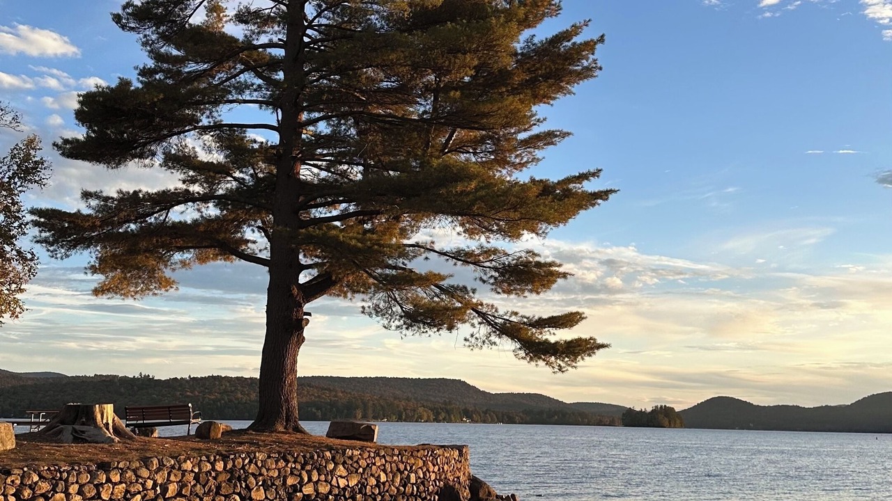 Photo of Outdoor in Speculator