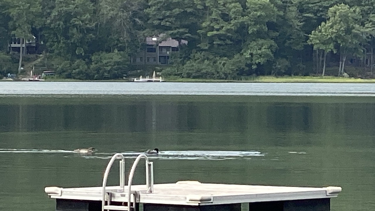 Photo of Others in Moultonborough