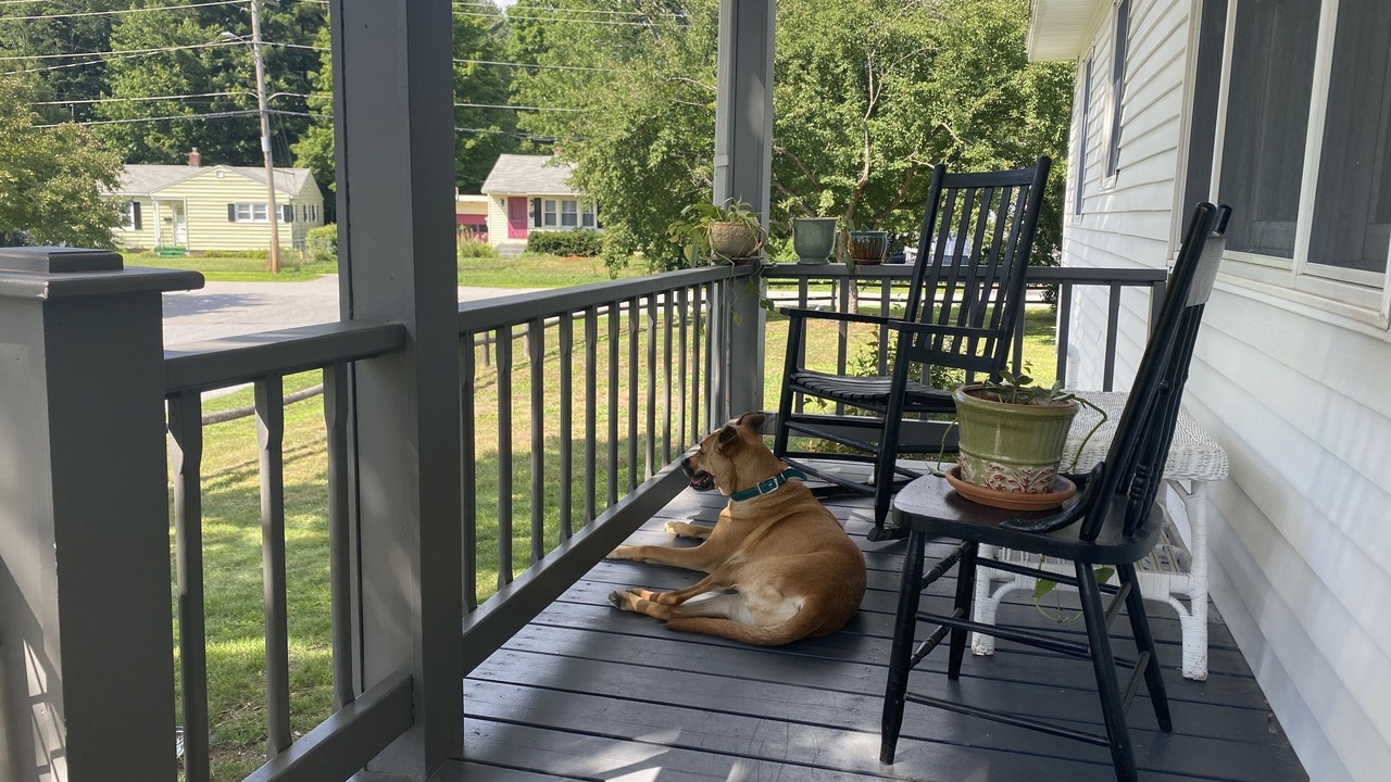 Photo of Outdoor in South Burlington