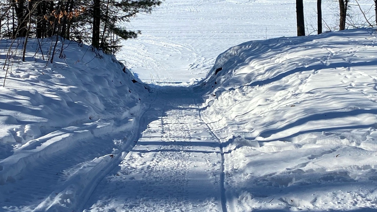 Photo of Outdoor in Birchwood