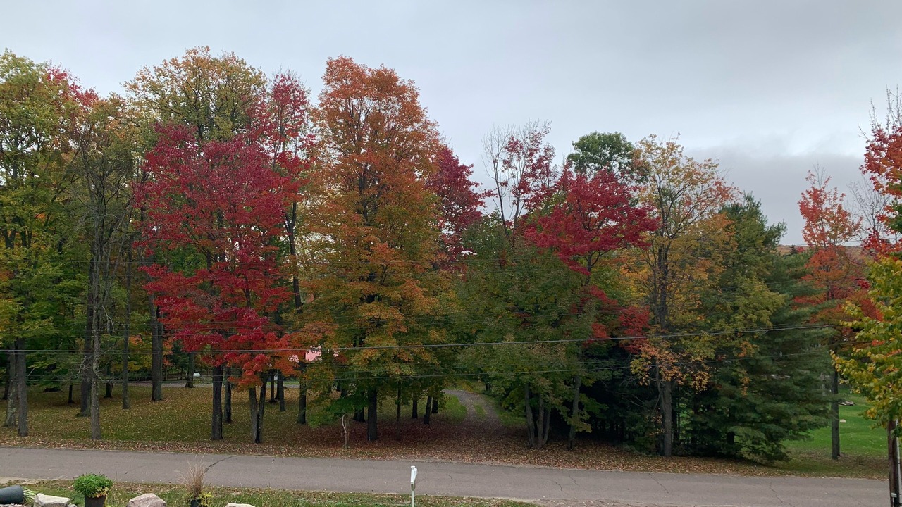 Photo of Outdoor in Town of Bellmont