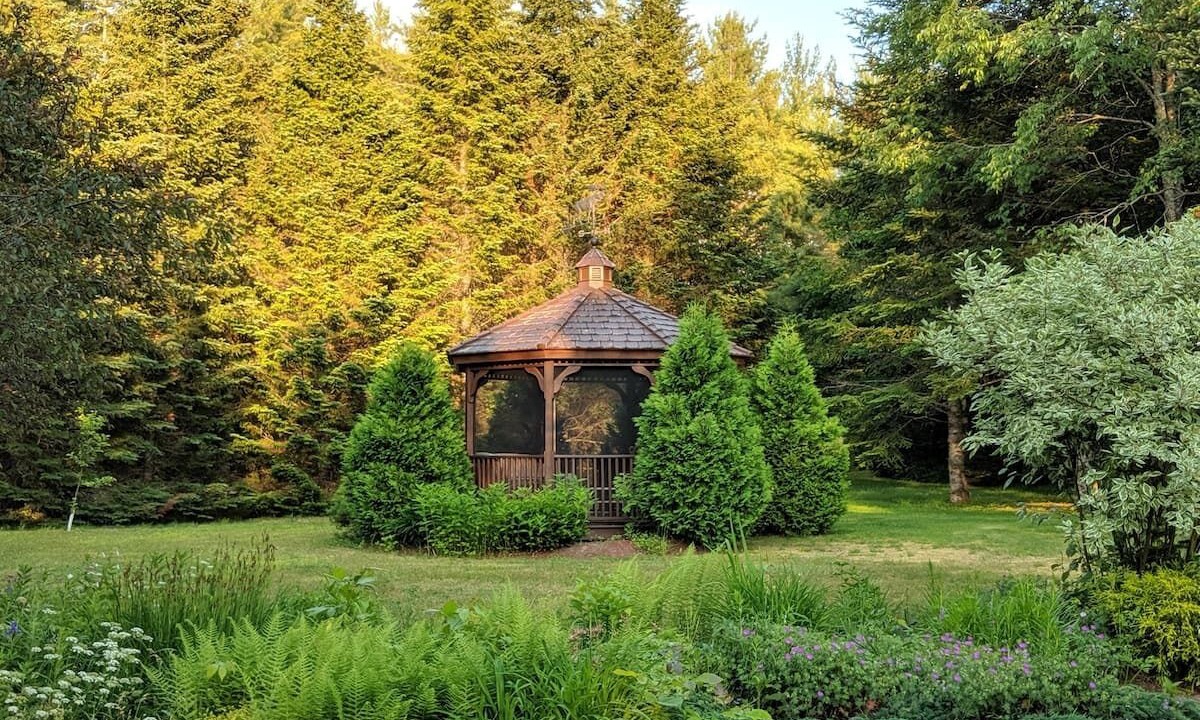 Photo of Outdoor in Twin Mountain