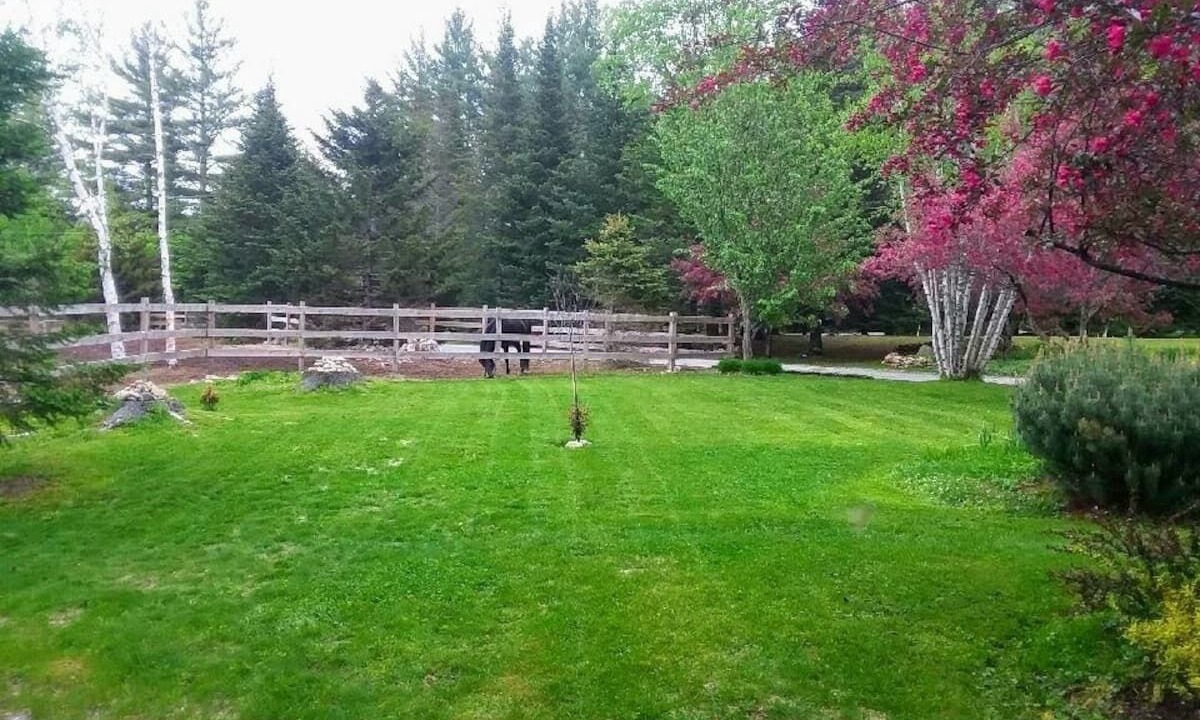 Photo of Outdoor in Twin Mountain