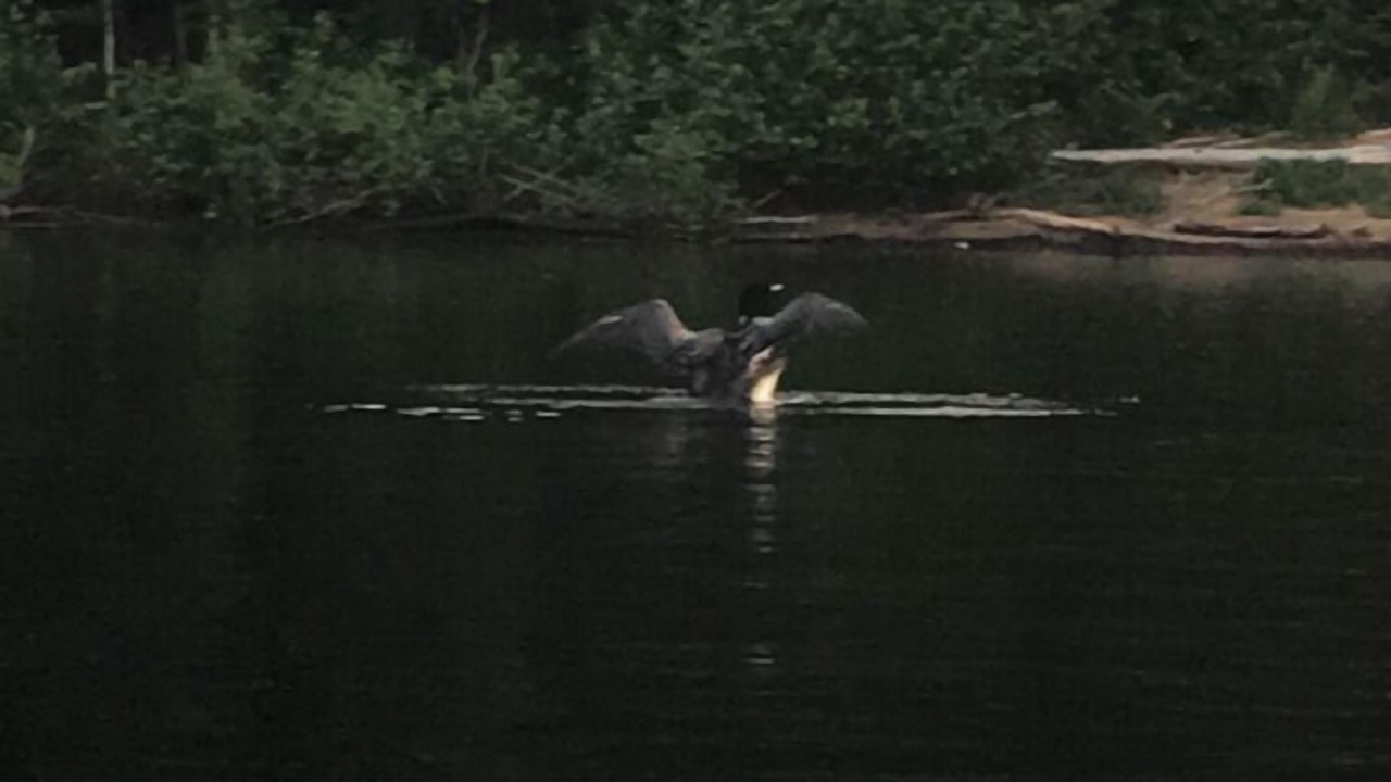 Photo of Others in Lake Luzerne-Hadley