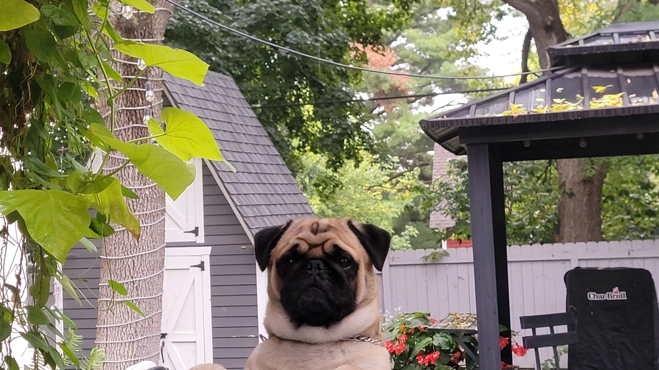 Photo of Outdoor in Stillwater