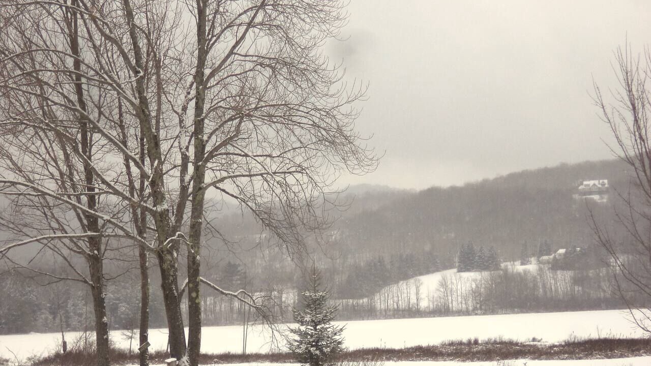 Photo of Others in Danby