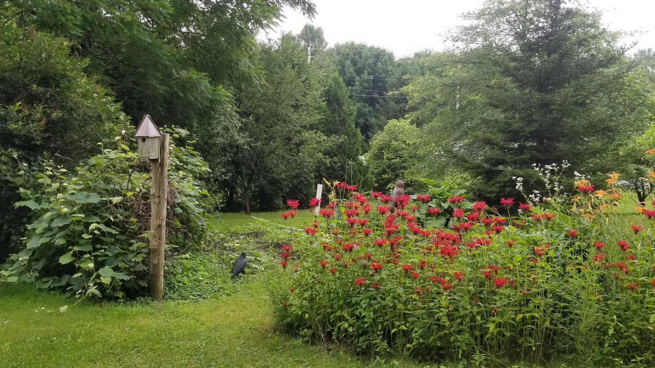 Photo of Outdoor in Hubbardton
