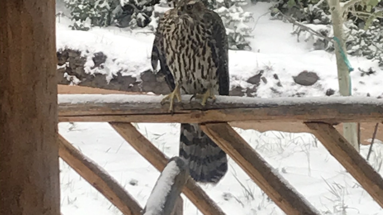Photo of Outdoor in Holman