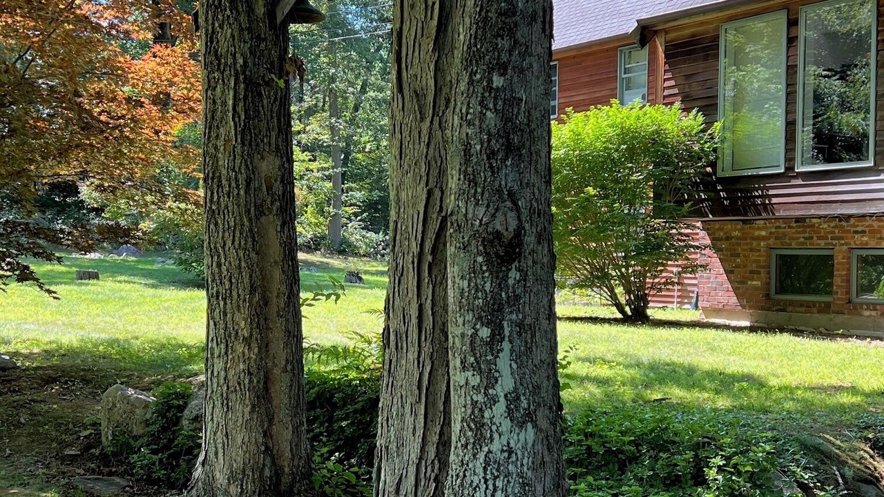 Photo of Outdoor in Monson