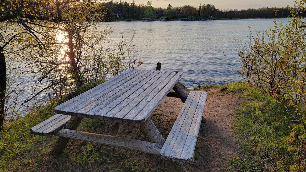 Photo of Others in Lake Shore