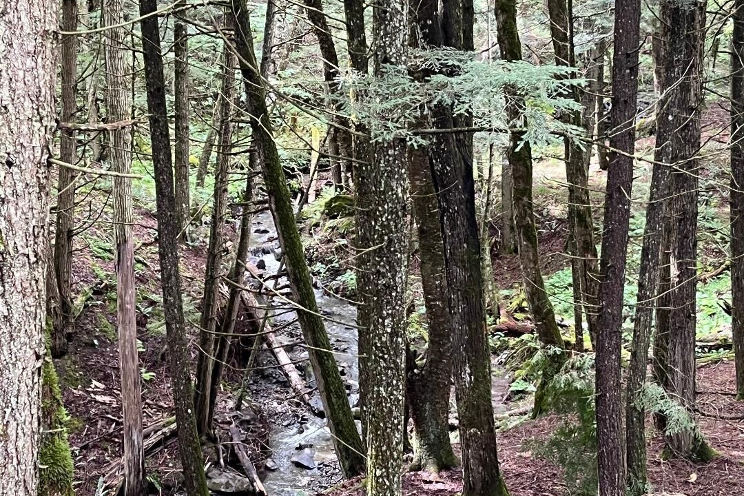 Photo of Others in St. Johnsbury