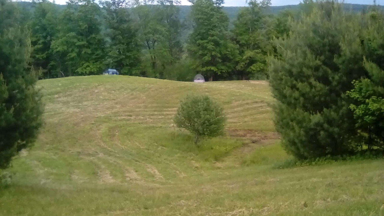 Photo of Outdoor in Fletcher