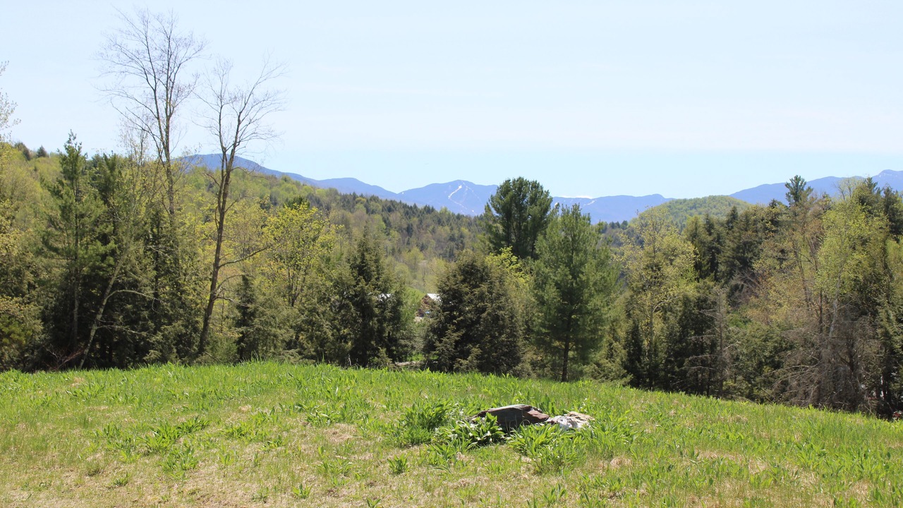Photo of Outdoor in Fletcher