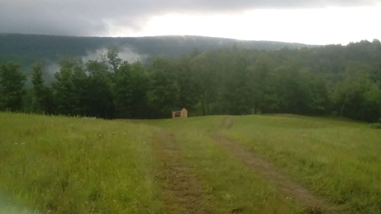 Photo of Outdoor in Fletcher