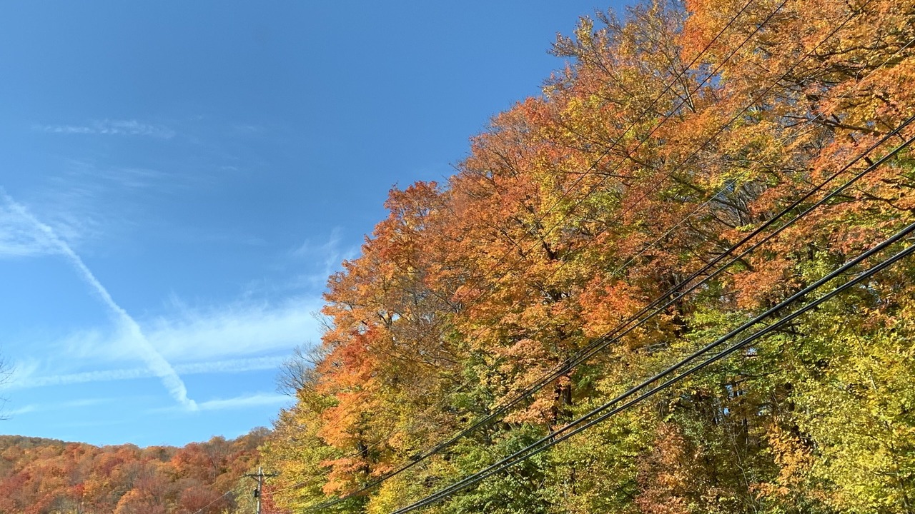 Photo of Others in Stratton Mountain