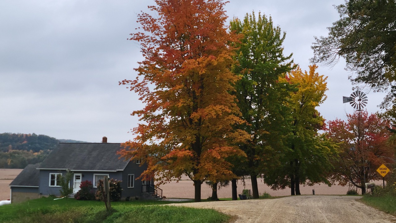 Photo of Outdoor in Mauston