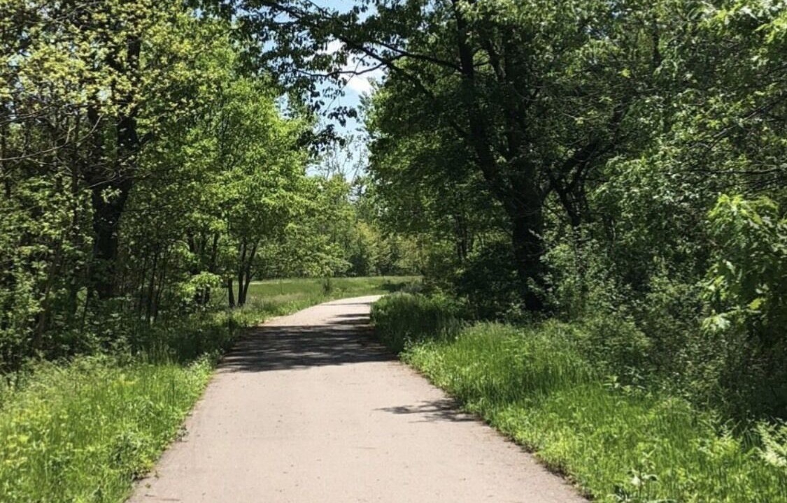 Photo of Others in South Haven