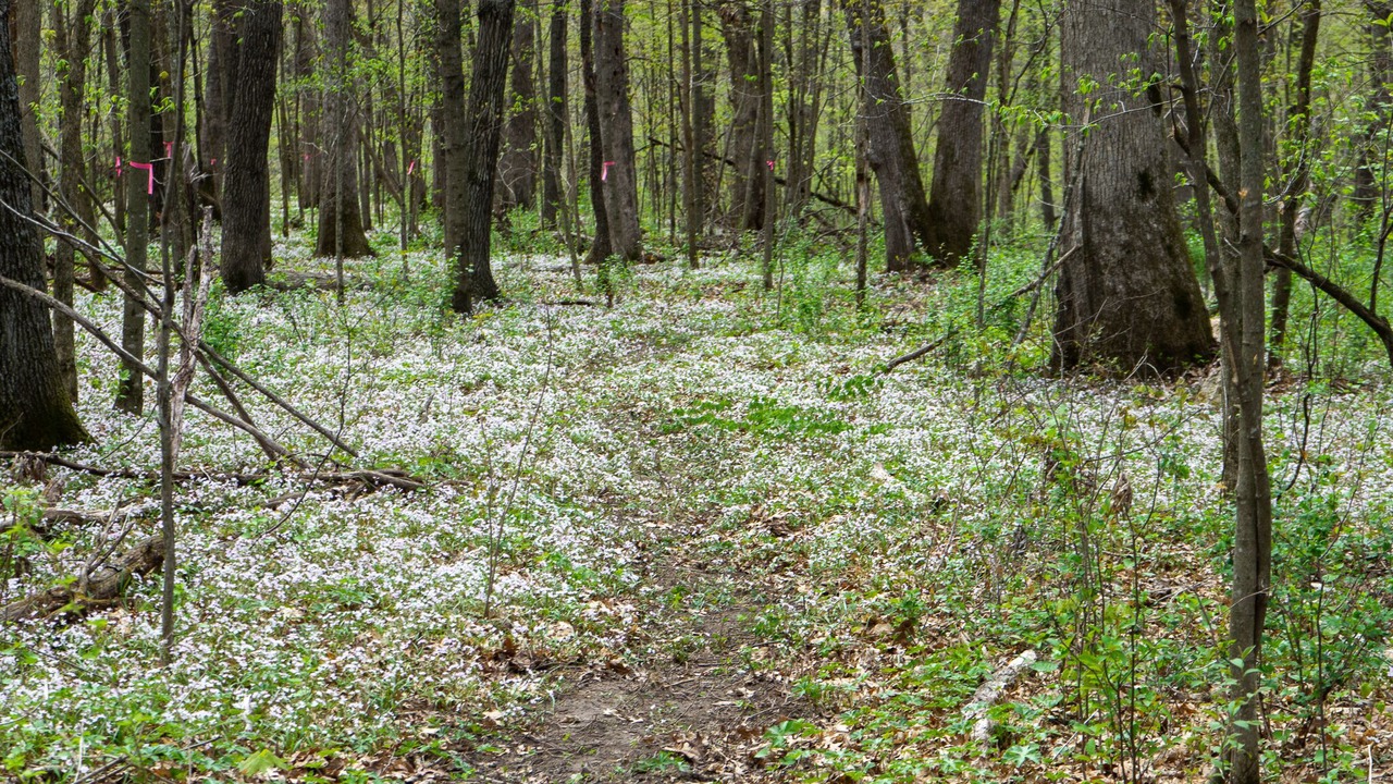 Photo of Others in Viroqua