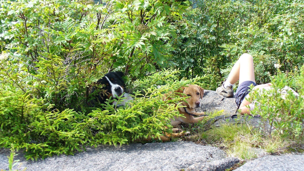 Photo of Others in Rainbow Lake