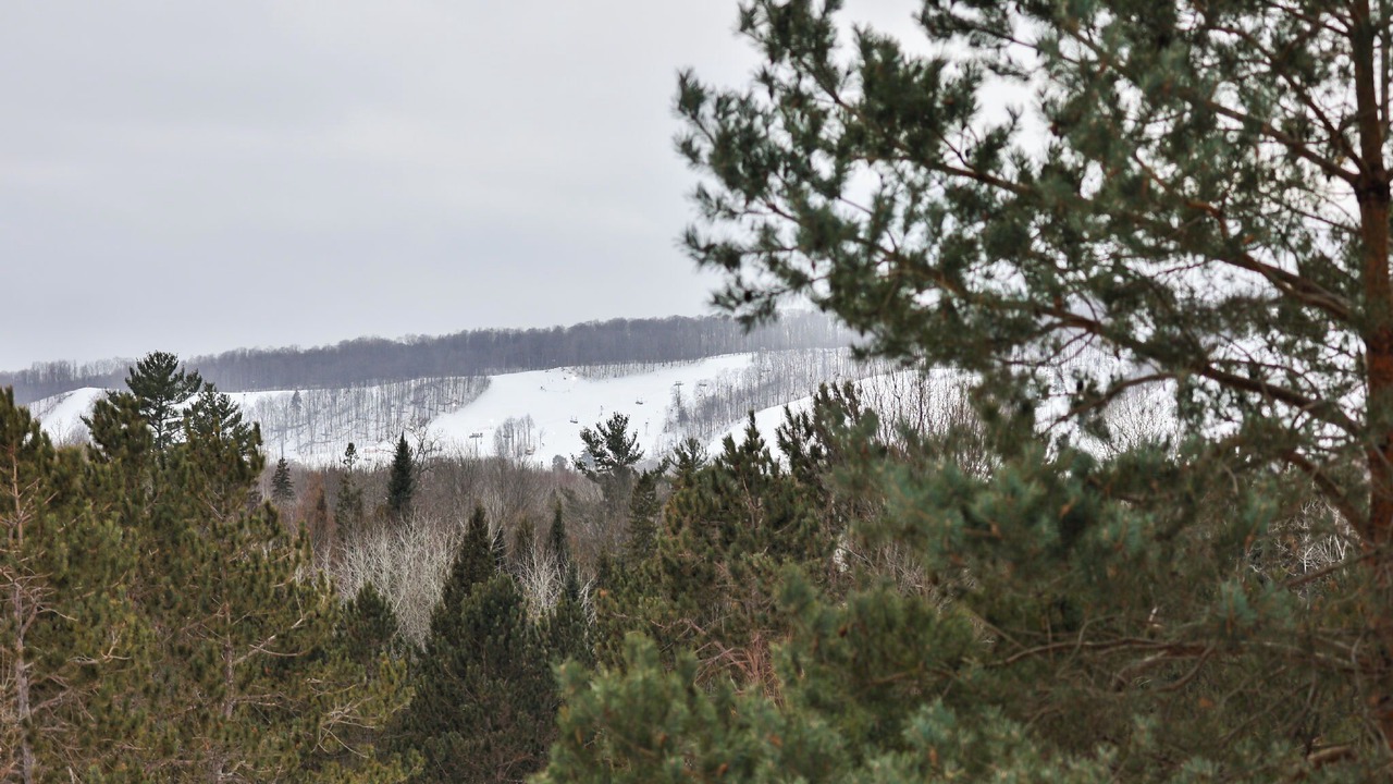 Photo of Others in Harbor Springs
