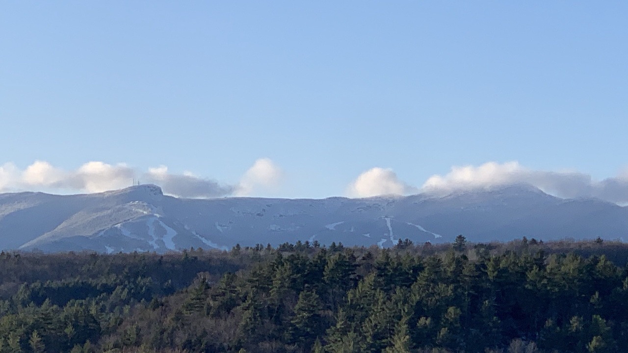 Photo of Others in Stowe