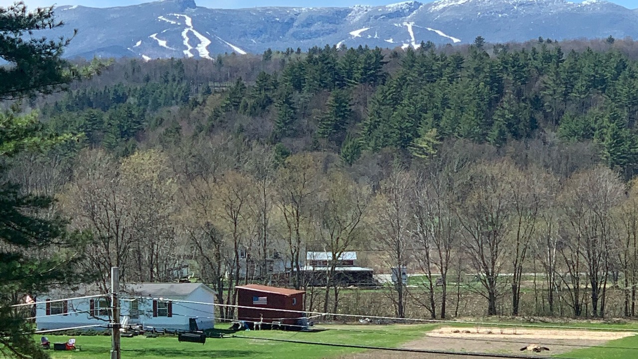 Photo of Others in Stowe