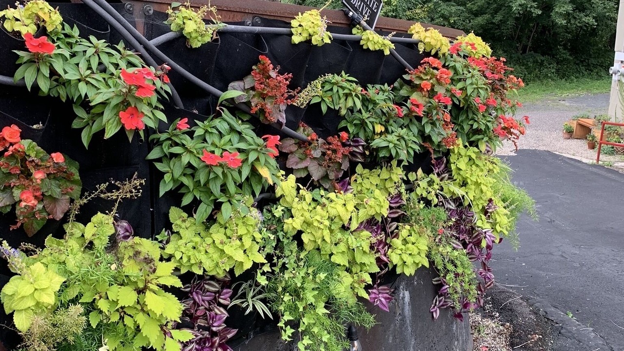 Photo of Outdoor in St Croix Falls