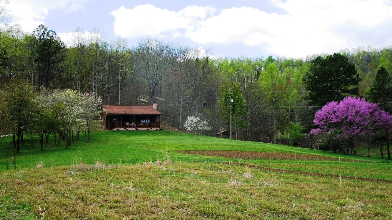 Photo of Others in Glenhayes