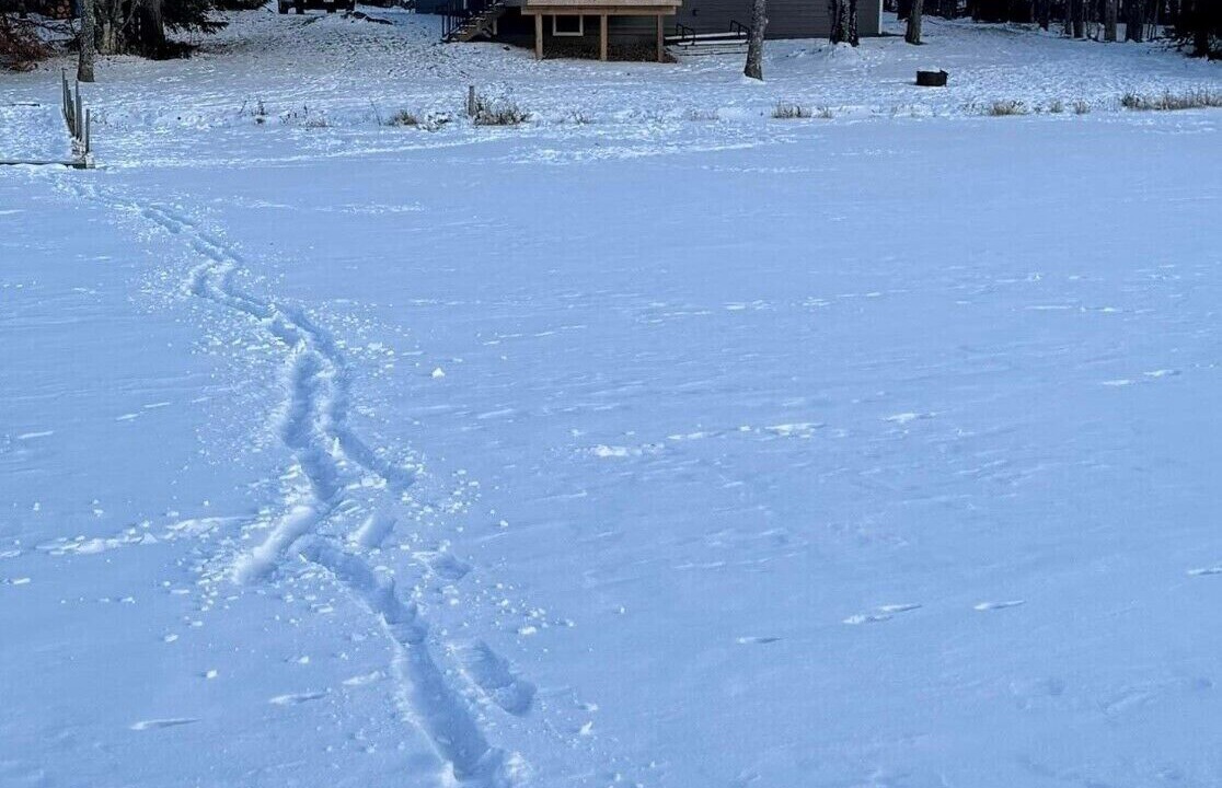 Photo of Outdoor in Winter
