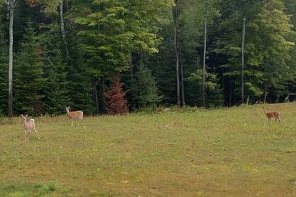 Photo of Outdoor in Bloomingdale