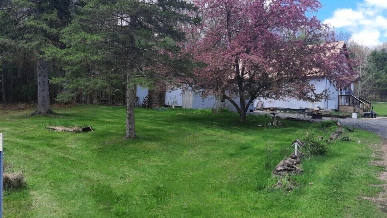 Photo of Outdoor in Hatfield