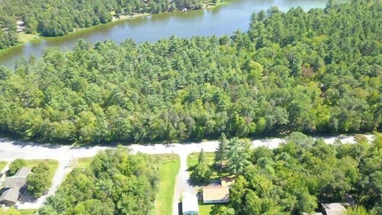 Photo of Outdoor in Hatfield