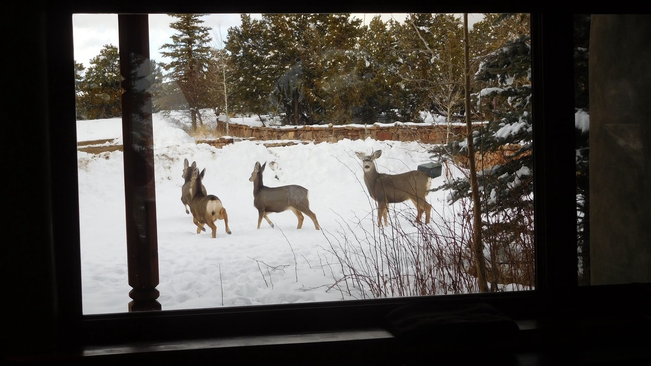 Photo of Others in Valdez