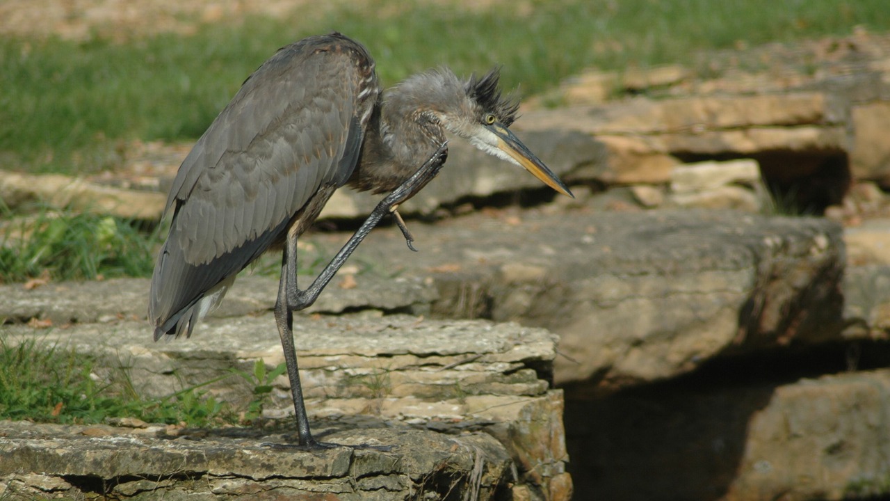 Photo of Others in Madison Lake