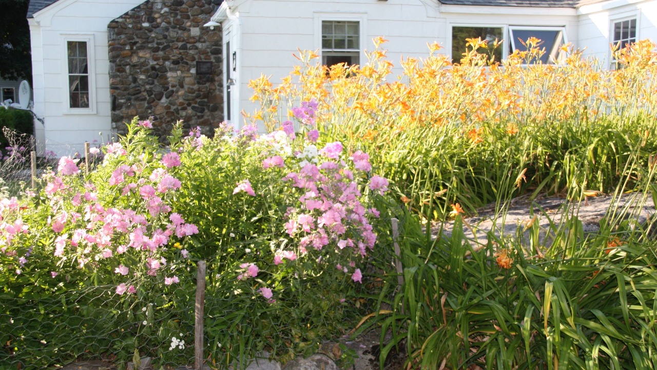 Photo of Outdoor in Isle La Motte