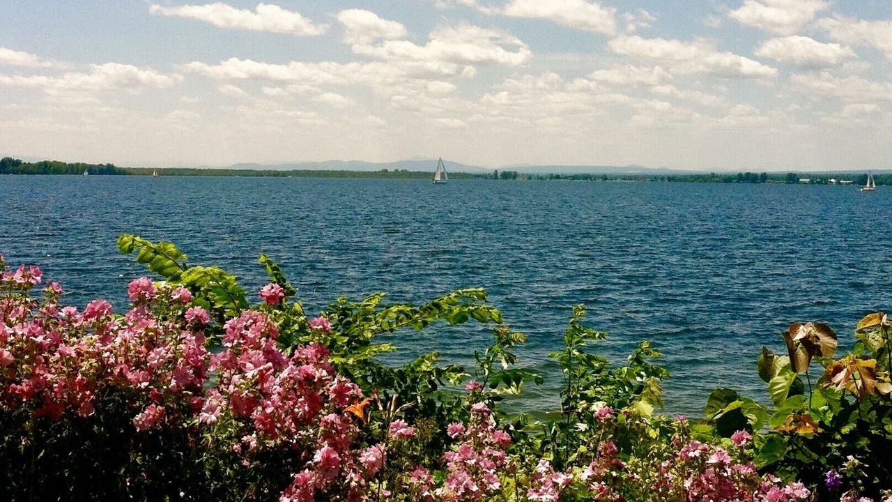 Photo of Others in Isle La Motte