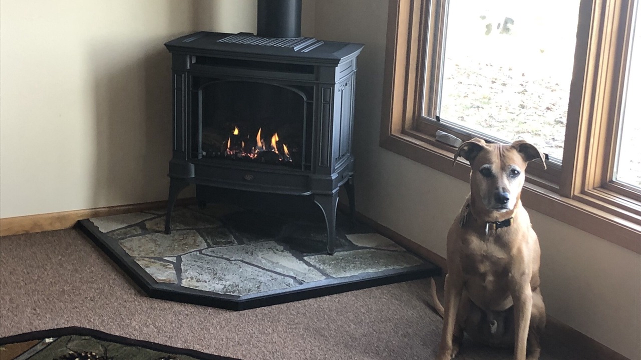 Photo of Livingroom in Hayward