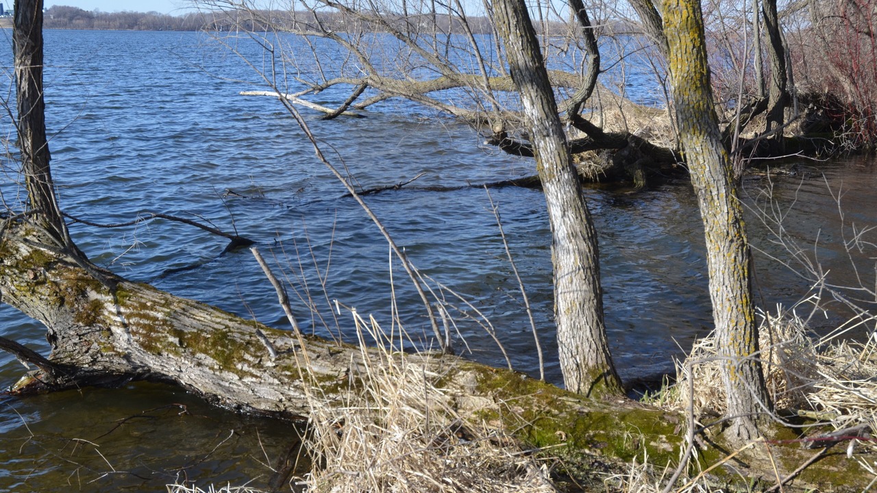 Photo of Others in Madison Lake