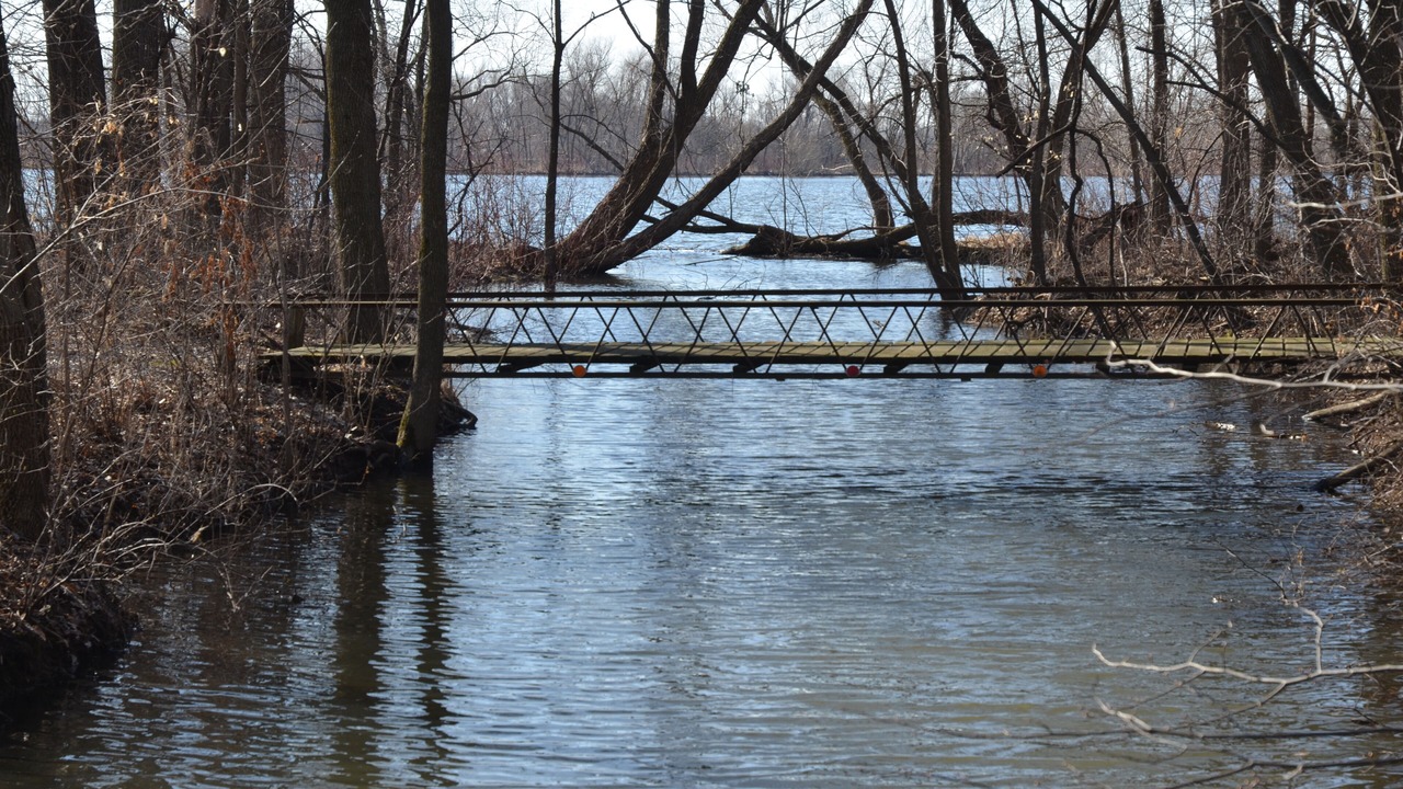 Photo of Others in Madison Lake