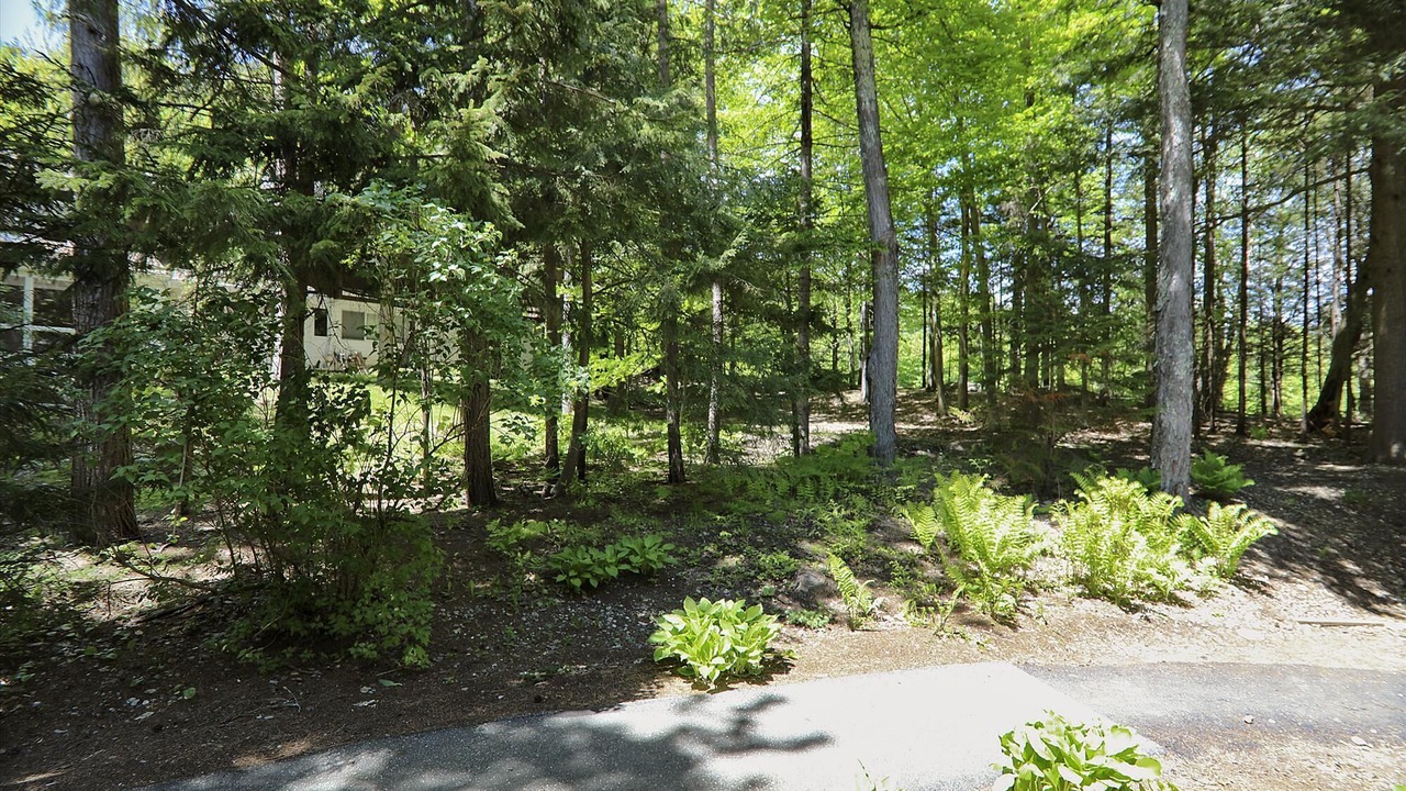Photo of Outdoor in Stowe Area