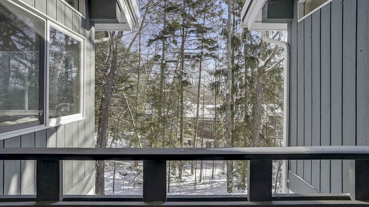 Photo of Outdoor in Stowe Area