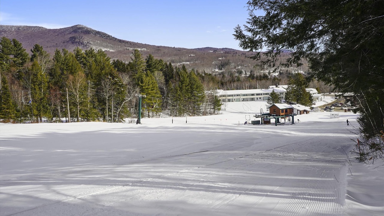 Photo of Others in Stowe Area